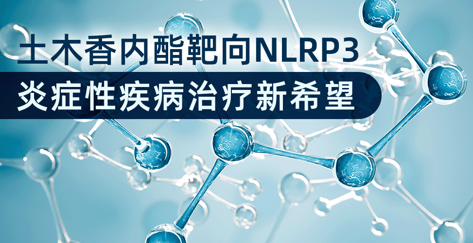 土木香内酯靶向NLRP3：炎症性疾病治疗新希望