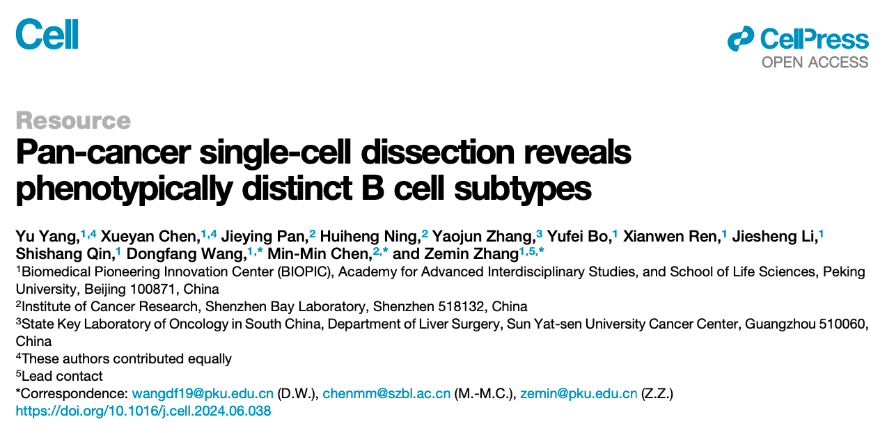 Pan-cancer single-cell dissection reveals phenotypically distinct B cell subtype 研究論文