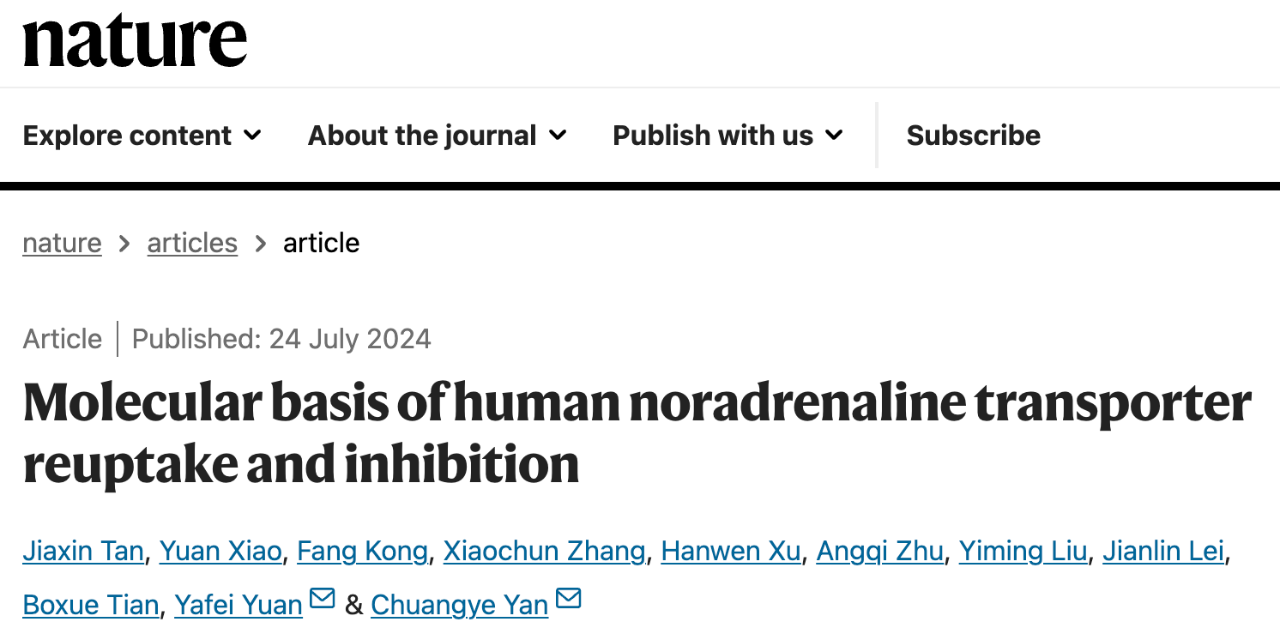 Molecular basis of human noradrenaline transporter reuptake and inhibition（人類去甲腎上腺素轉運蛋白再攝取與抑制分子基礎）的研究論文