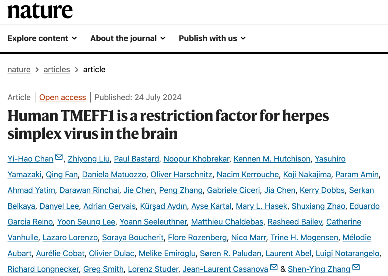 Human TMEFF1 is a restriction factor for herpes simplex virus in the brain 的研究論文