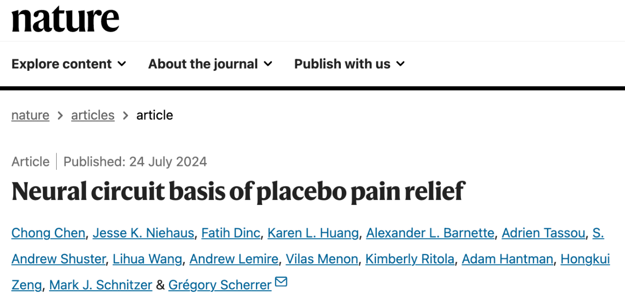 Neural circuit basis of placebo pain relief 研究論文