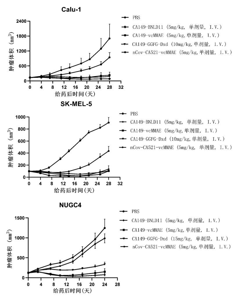 臨床前研究