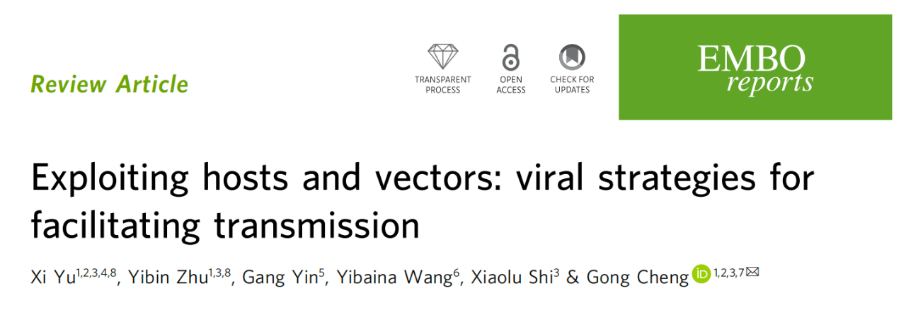 Exploiting Hosts and Vectors: Viral Strategies for Facilitating Transmission