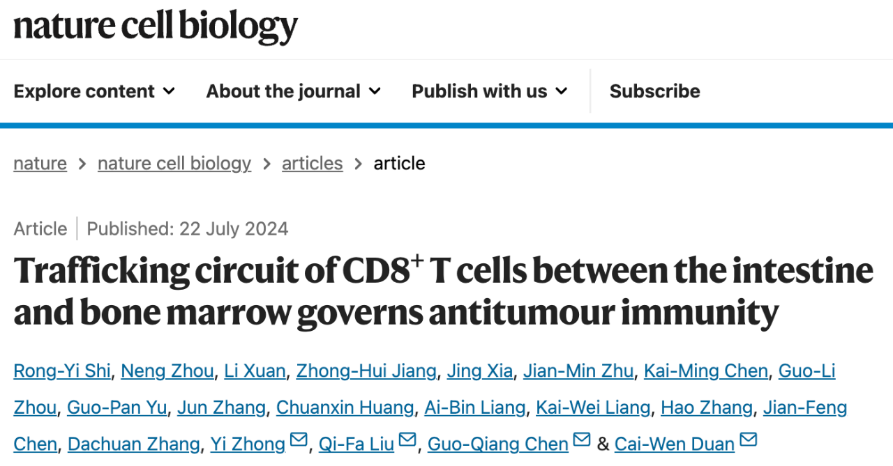 Trafficking circuit of CD8+ T cells between the intestine and bone marrow governs antitumour immunity研究論文