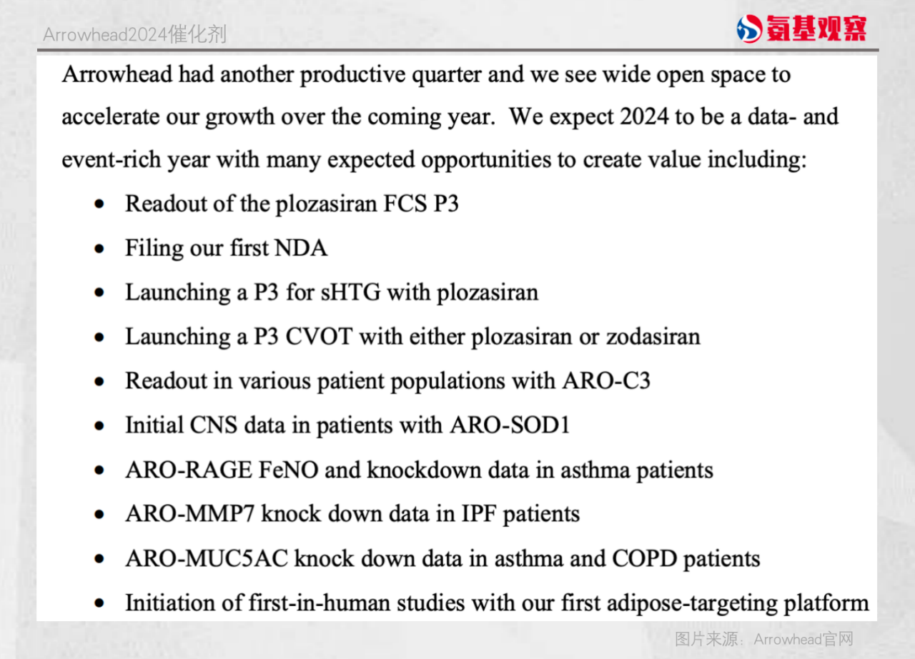 Arrowhead2024催化劑