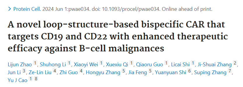 雙特異性CAR-T高水平文章