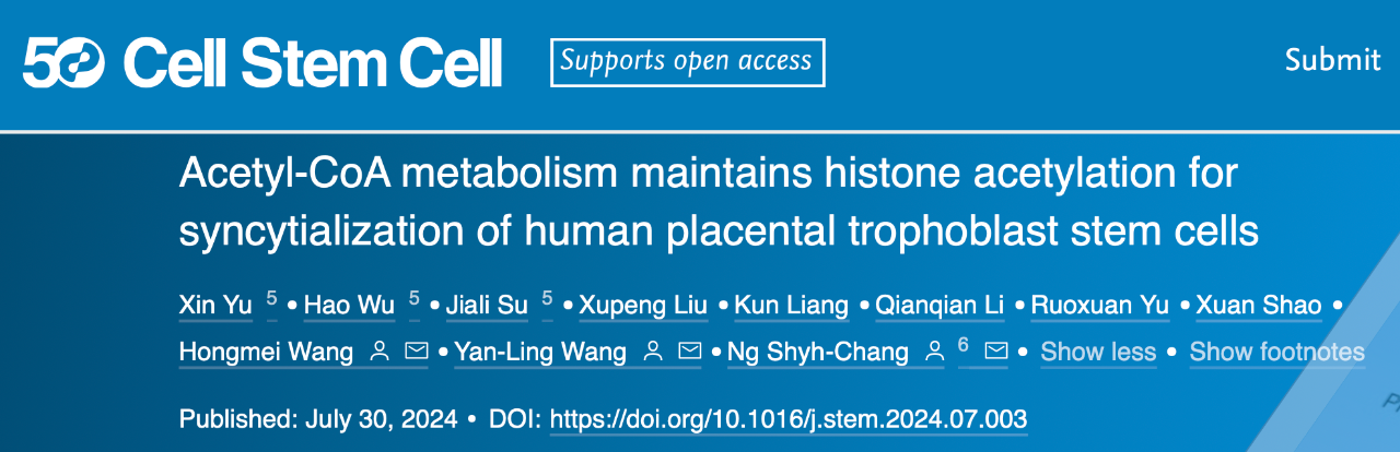 Acetyl-CoA metabolism maintains histone acetylation for syncytialization of human placental trophoblast stem cells 研究論文