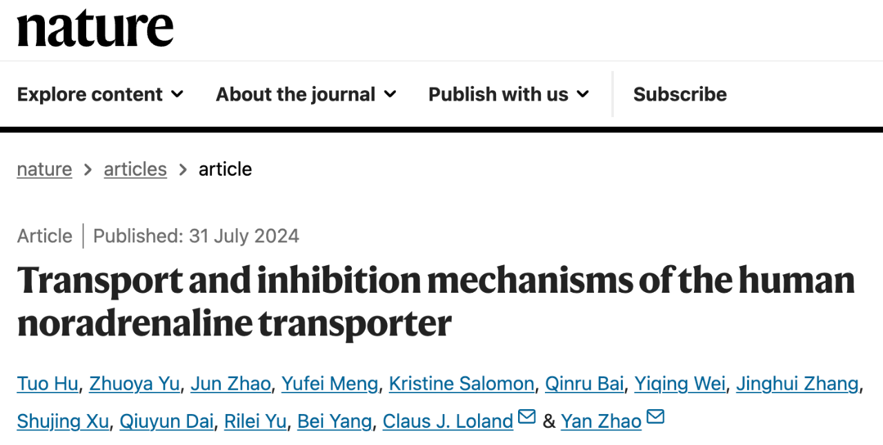 Transport and inhibition mechanisms of the human noradrenaline transporter研究論文