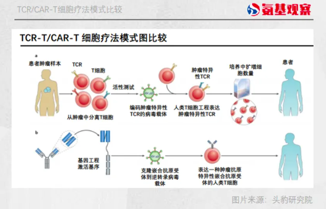 TCR/CAR-T細(xì)胞療法模式比較