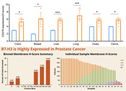B7-H3在不同癌癥中的表達(dá)水平