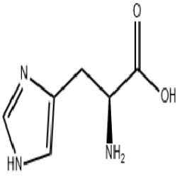 L-組氨酸