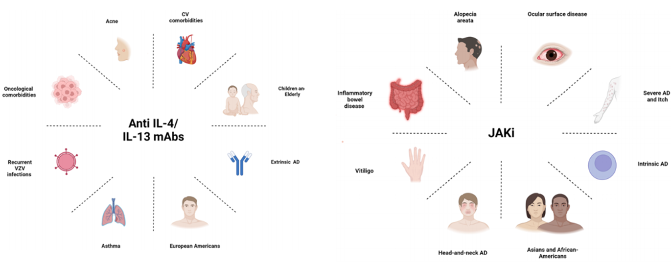 影響AD人群選擇IL-4/13抗體和JAK抑制劑的主要因素