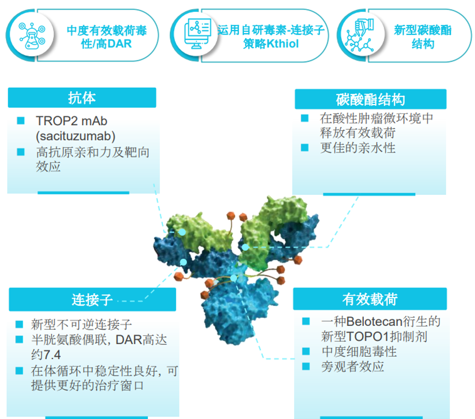 芦康沙妥珠单抗的结构和设计亮点