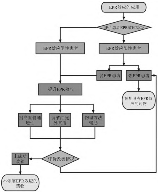 EPR效應(yīng)應(yīng)用于腫瘤被動靶向治療