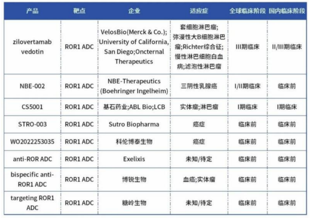 下一代管線——差異化的ADC和多抗