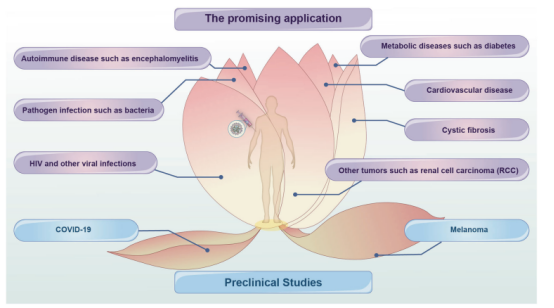 circRNA的潜在应用