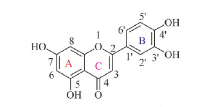 木犀草素的化學(xué)結(jié)構(gòu)