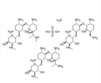 硫酸慶大霉素