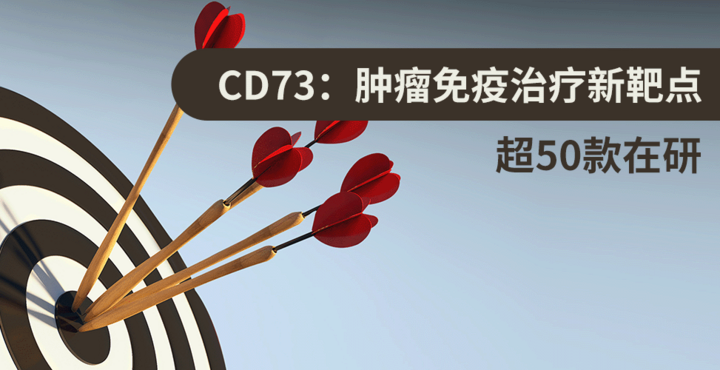 CD73：肿瘤免疫治疗新靶点