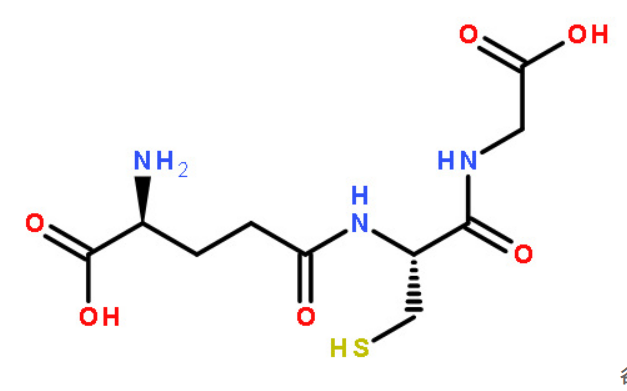 谷胱甘肽