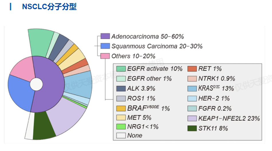 NSCLC分子分型