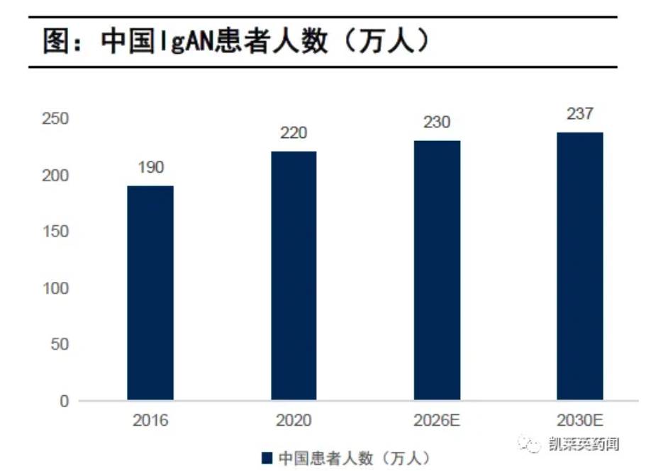 中国IgAN患者人数