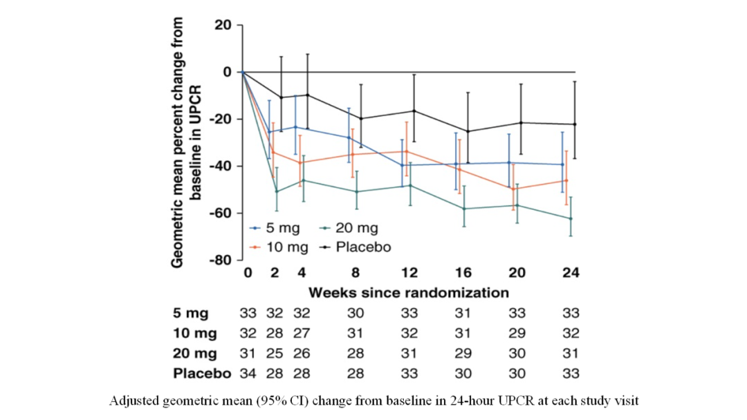 與基線相比，每次研究訪問(wèn)時(shí)24小時(shí)UPCR的校正幾何平均變化（95% CI）