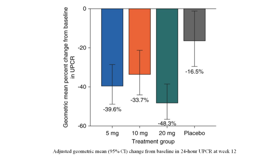 SC0062在不同基線患者中降低UPCR的效果