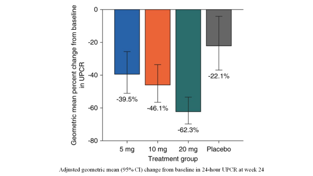 第24周時(shí)，與基線相比，24 小時(shí) UPCR 的校正幾何平均變化（95% CI）