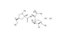 鹽酸林可霉素