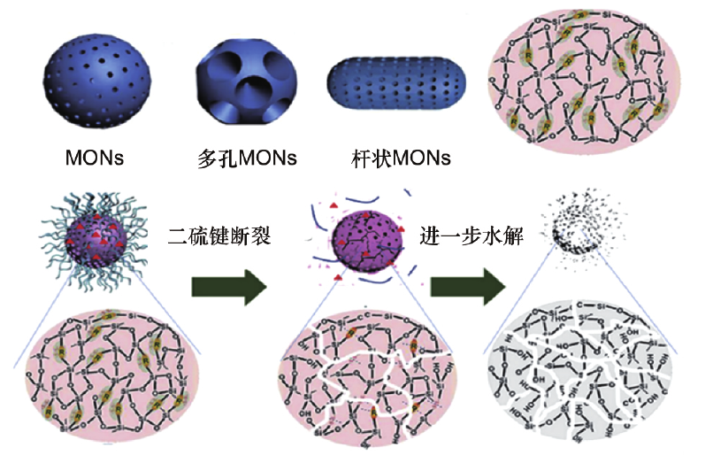  圖2 氧化還原響應(yīng)型介孔有機(jī)硅納米顆粒（MONs）