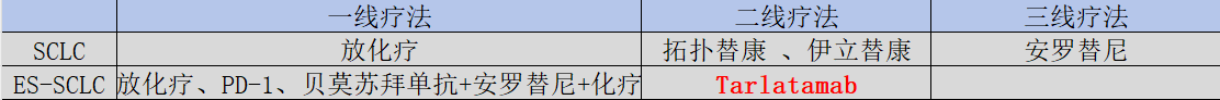 圖：SCLC治療方案一覽