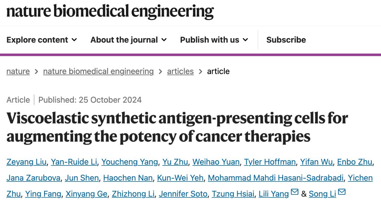 Viscoelastic synthetic antigen-presenting cells for augmenting the potency of cancer therapies