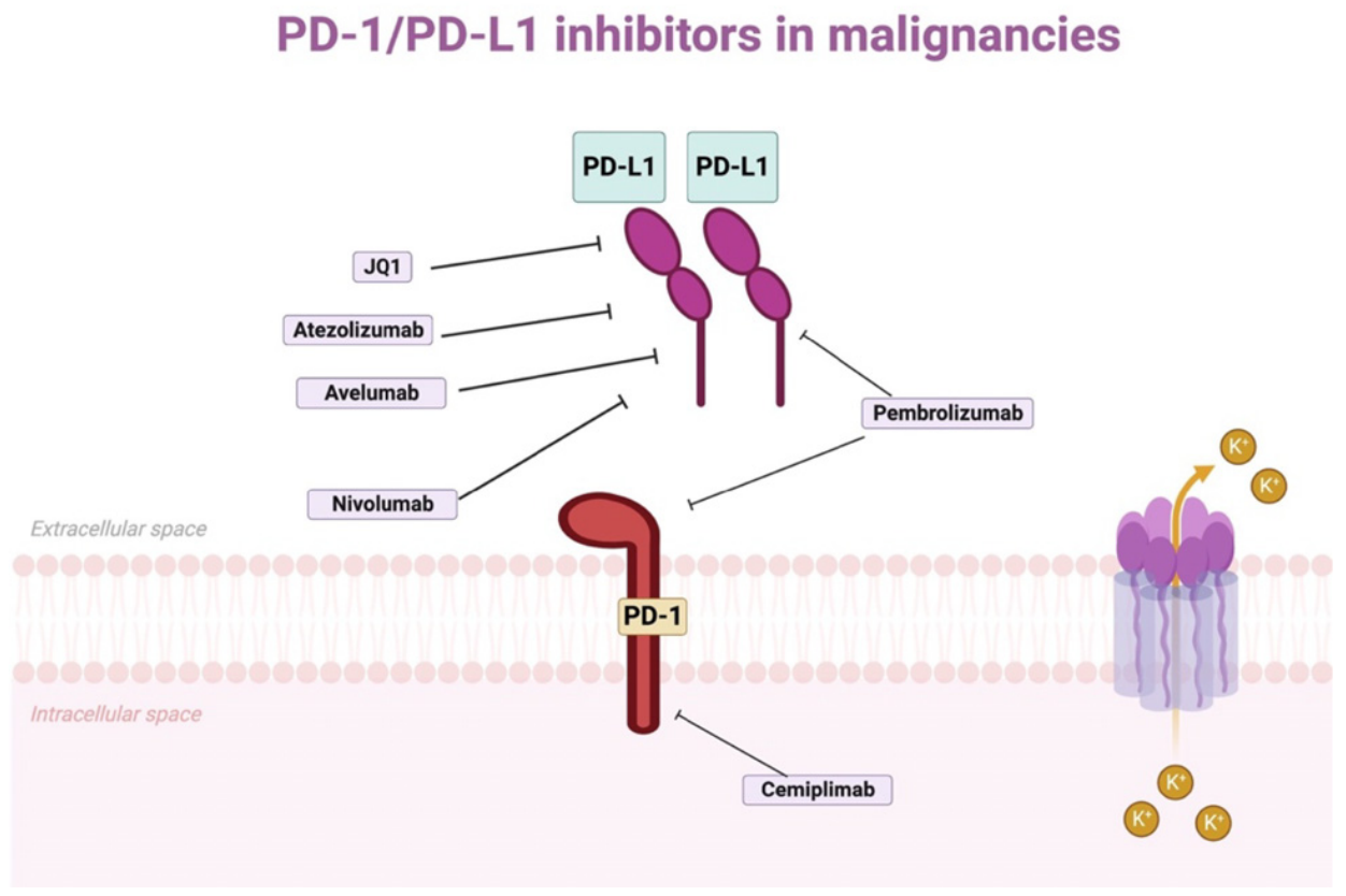 圖10. 惡性腫瘤中的PD-1/PD-L1抑制劑 。