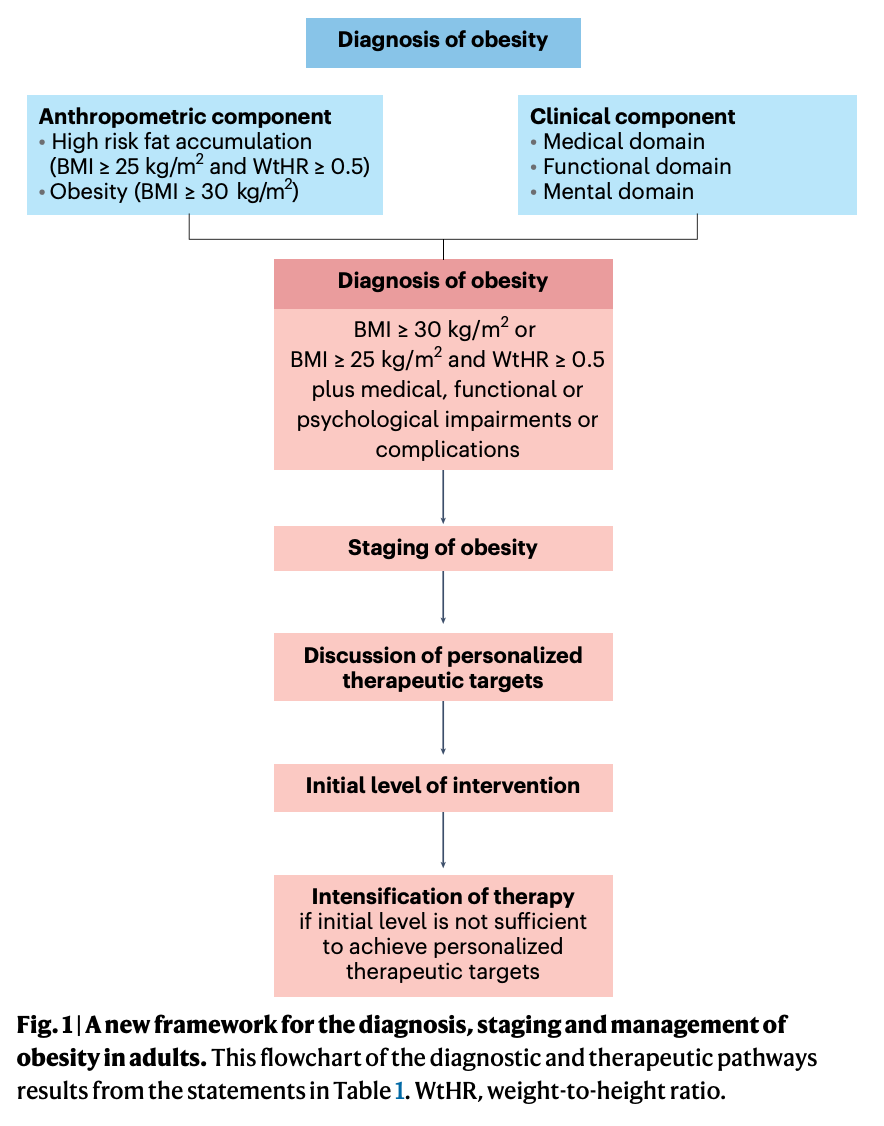 成人肥胖的診斷、分期和管理的新框架