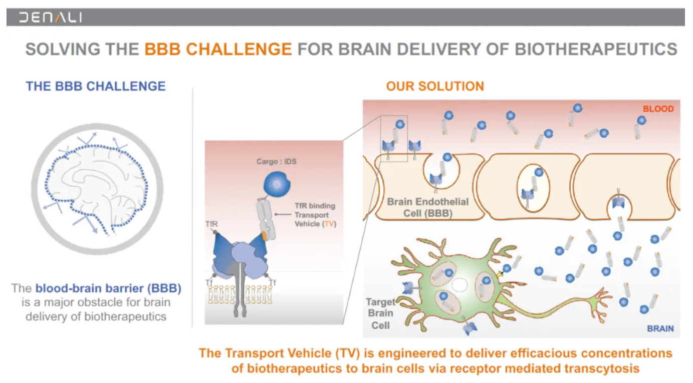 SOLVING THE BBB CHALLENGE FOR BRAIN DELIVERY OF BIOTHERAPEUTICS