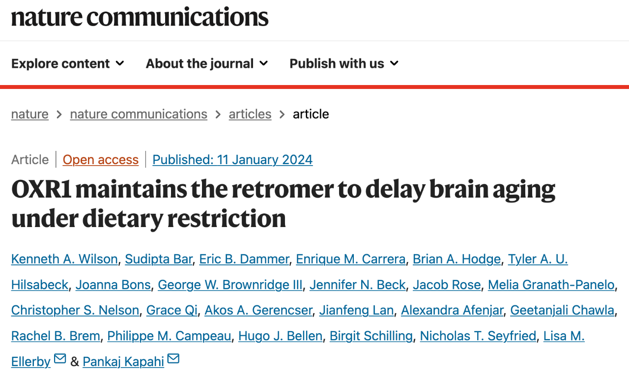 OXR1 maintains the retromer to delay brain aging under dietary restriction