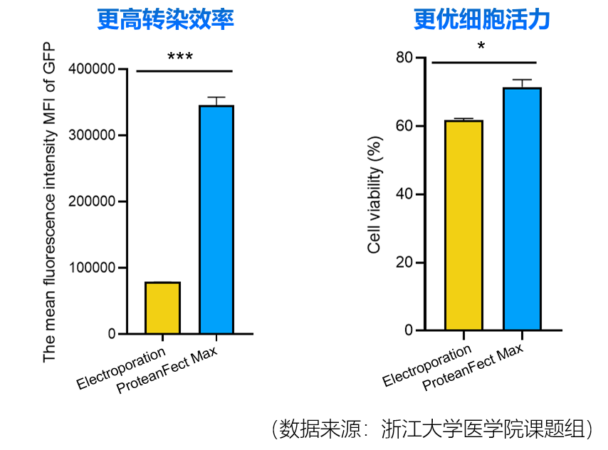 人原代T細(xì)胞