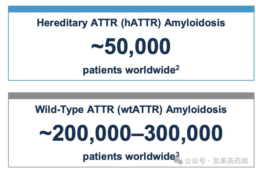 Hereditary ATTR (hATTR) Amyloidosis