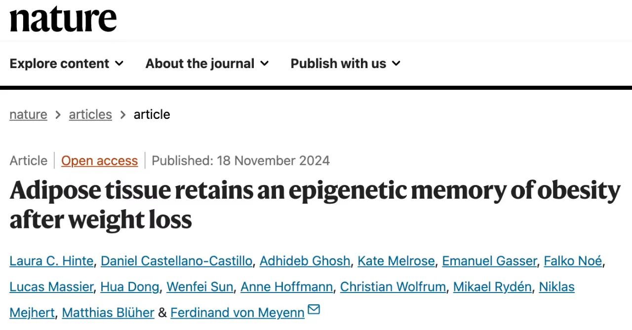 Adiposetissue retainsan epigenetic memoryofobesityafter weightloss