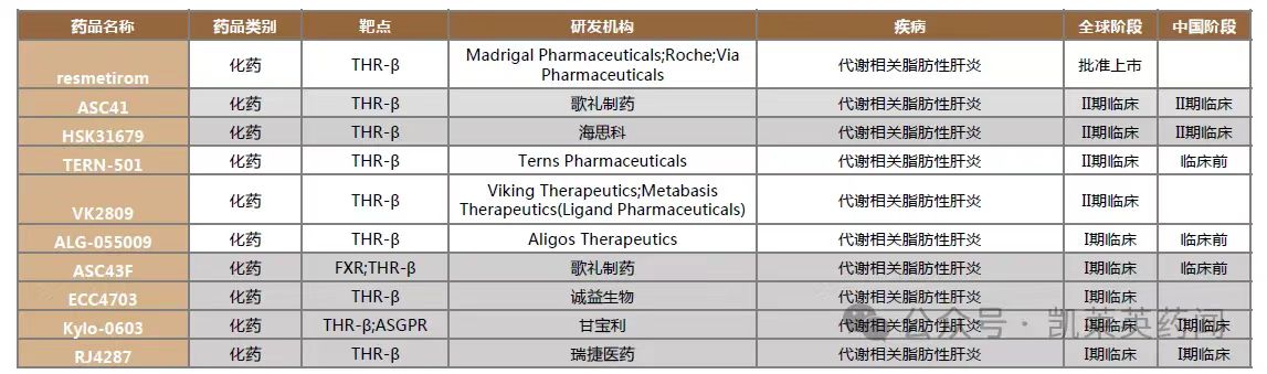 THR-β激動劑治療NASH競爭格局（臨床以上）