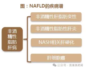 NAFLD的疾病譜