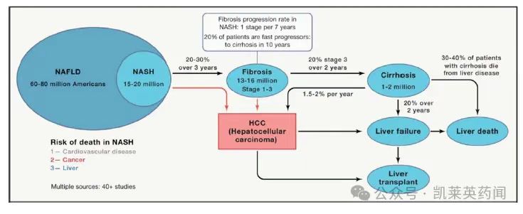 《Mechanisms and disease consequences of nonalcoholic fatty liver disease》