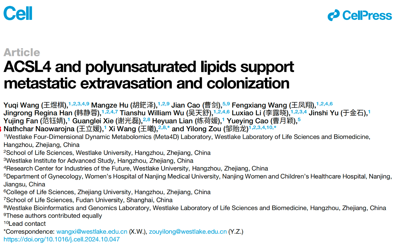 ACSL4 and polyunsaturated lipids support metastatic extravasation and colonization