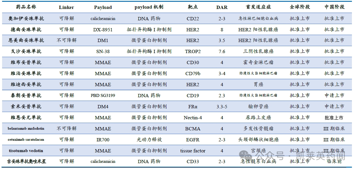 全球15 款A(yù)DC獲批