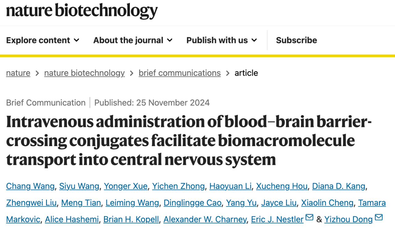 Intravenous administration of blood–brain barrier-crossing conjugates facilitate biomacromolecule transport into central nervous system