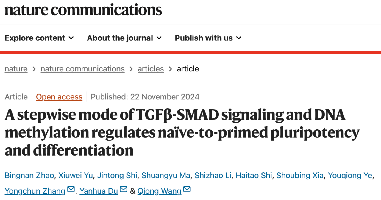 A stepwise mode of TGFβ-SMAD signaling and DNA methylation regulates na?ve-to-primed pluripotency and differentiation 