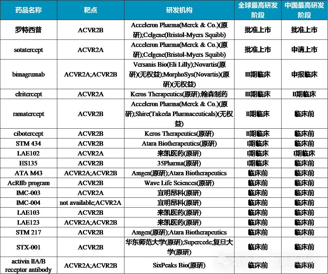 目前在研的ActRII藥物近20種