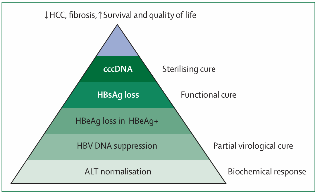 圖4 HBV感染患者的治療目標(biāo)