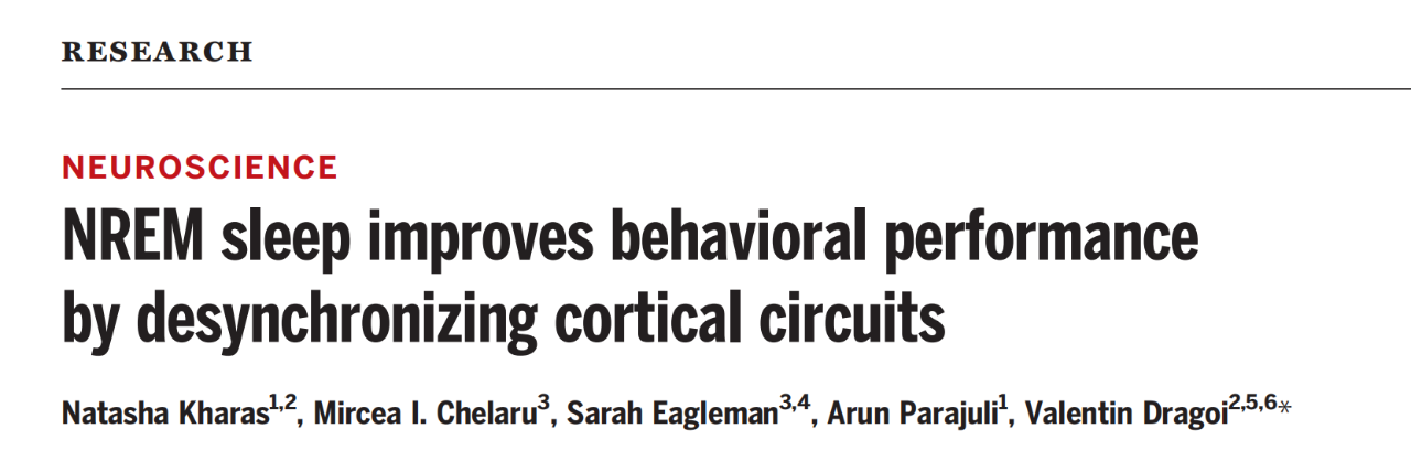 NREM sleep improves behavioral performance by desynchronizing cortical circuits 